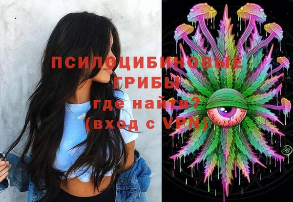 стаф Волоколамск