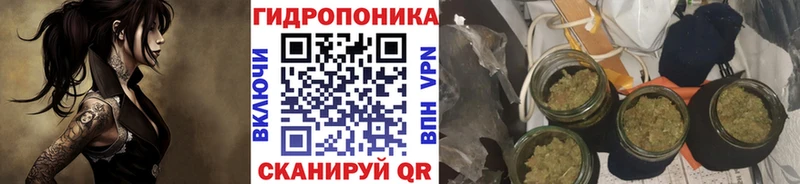 Бошки Шишки Amnesia  Купить  Москва 