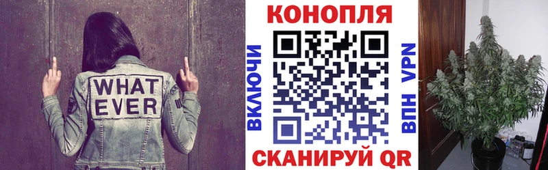 Бошки Шишки SATIVA & INDICA Москва